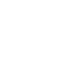 ASSI VIVO